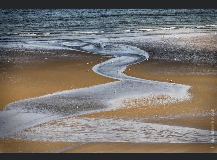 la margaret Villa equihen Plage Bagian luar foto